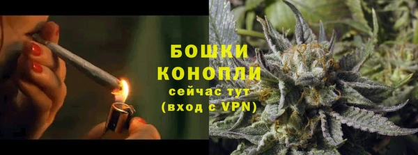 прущие грибы Баксан
