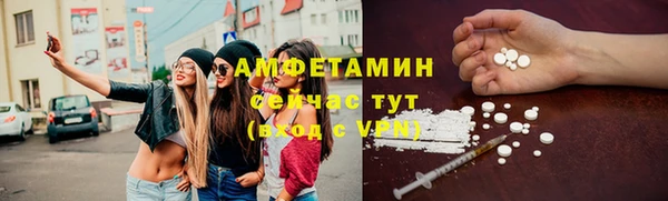прущие грибы Баксан