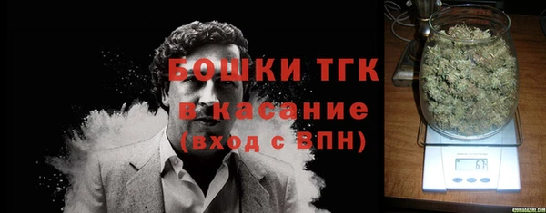 прущие грибы Баксан