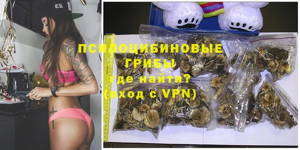 прущие грибы Баксан