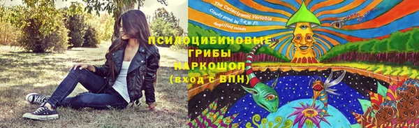 прущие грибы Баксан
