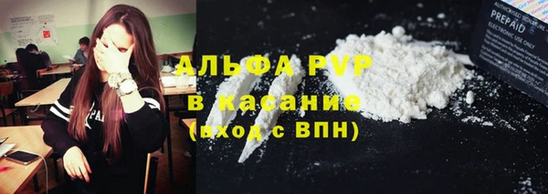 прущие грибы Баксан