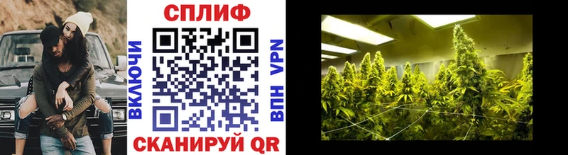 Бошки Шишки план  blacksprut как зайти  darknet официальный сайт  Ленск 